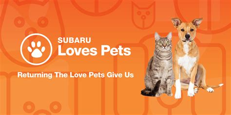 Stewart's wants proof your pet loves its products